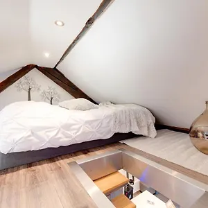 Le Duplex Atypique Et Superbe Appartement