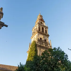 https://los-patios-de-san-agustin.es-andalucia.com